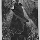 Image for article titled How Jules Verne Helped Invent the Helicopter